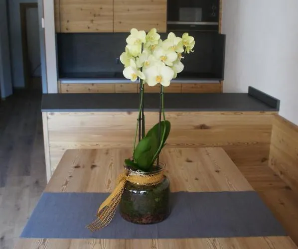 Apartment Al Sasso *